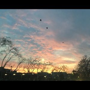 Meet your Posher, Dinora